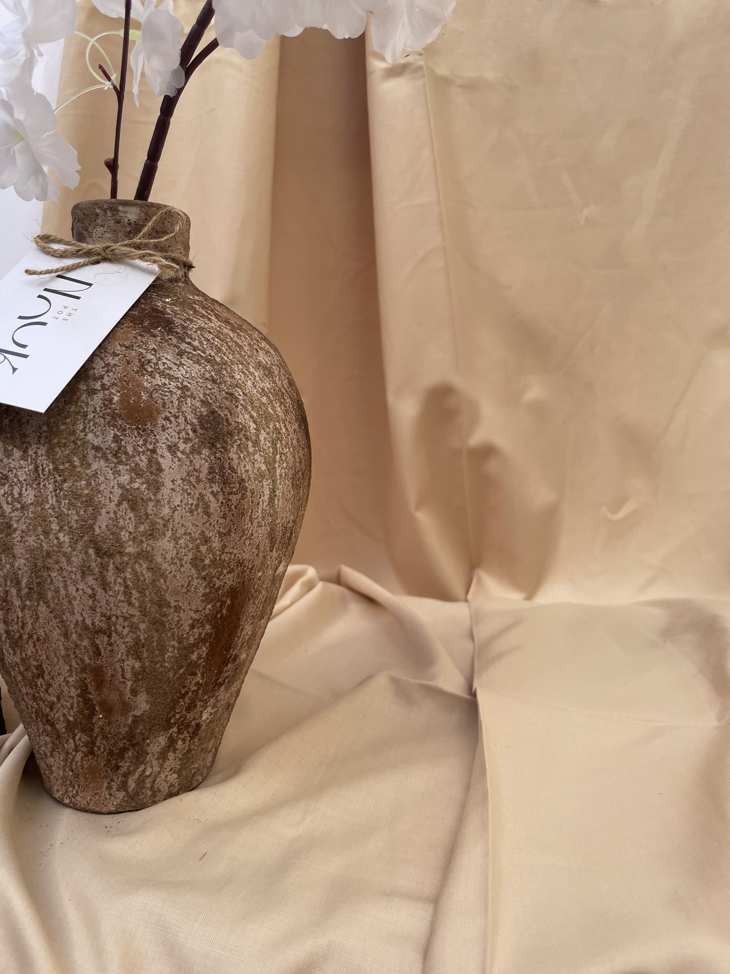Coconut