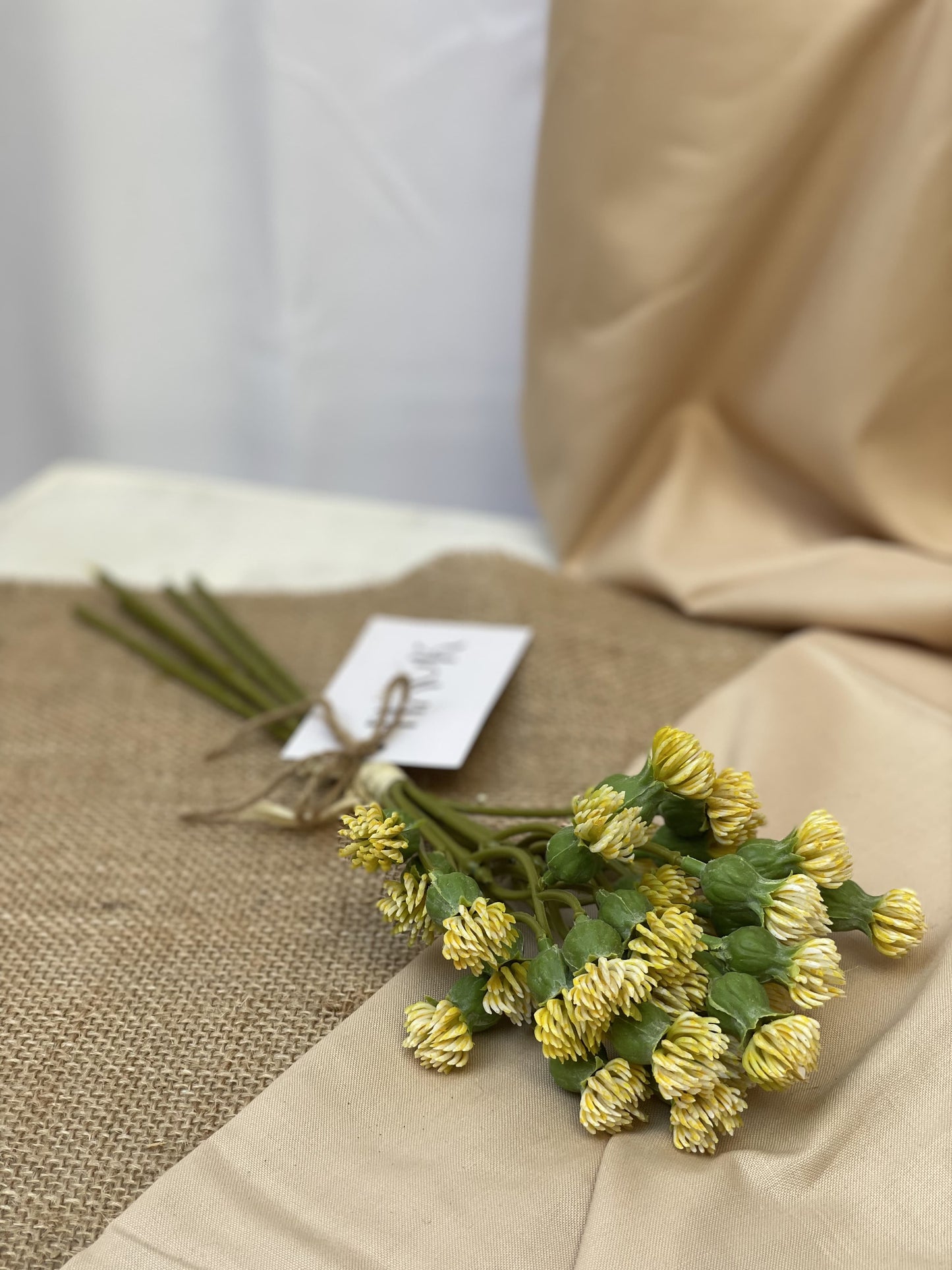 Sunshine Stems